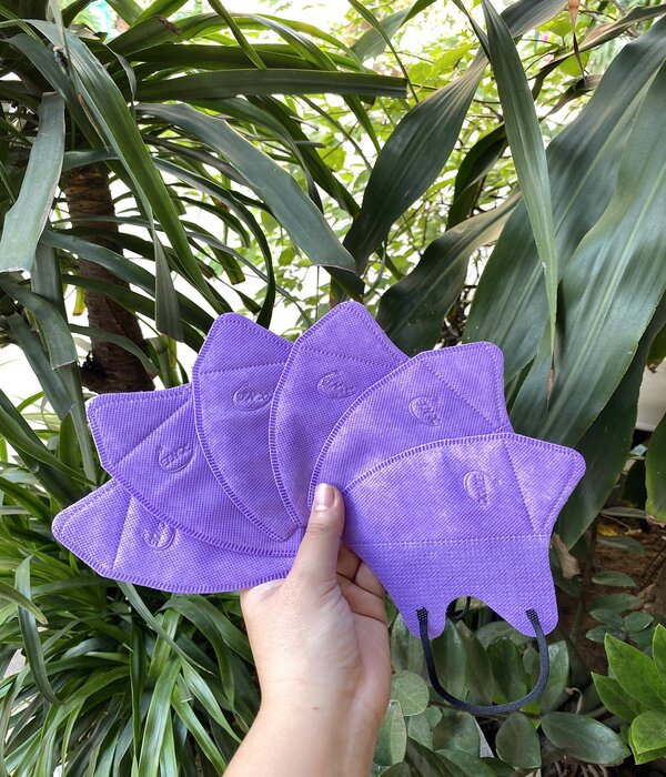 Khẩu trang 5D