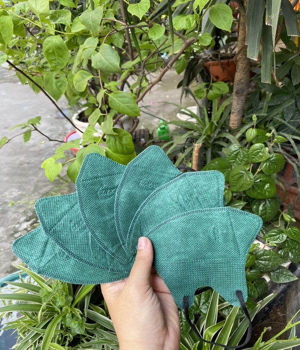 Khẩu trang 5D