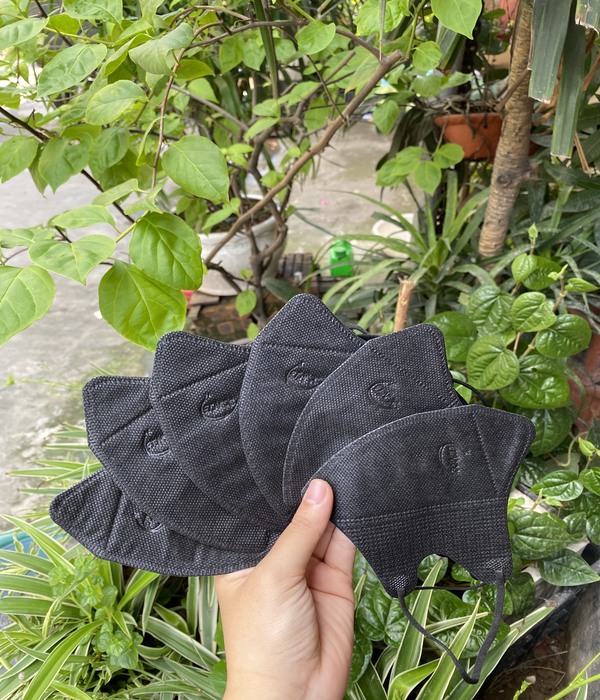 Khẩu trang 5D